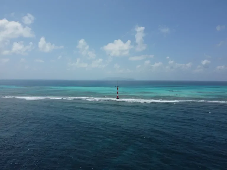 EL FARO