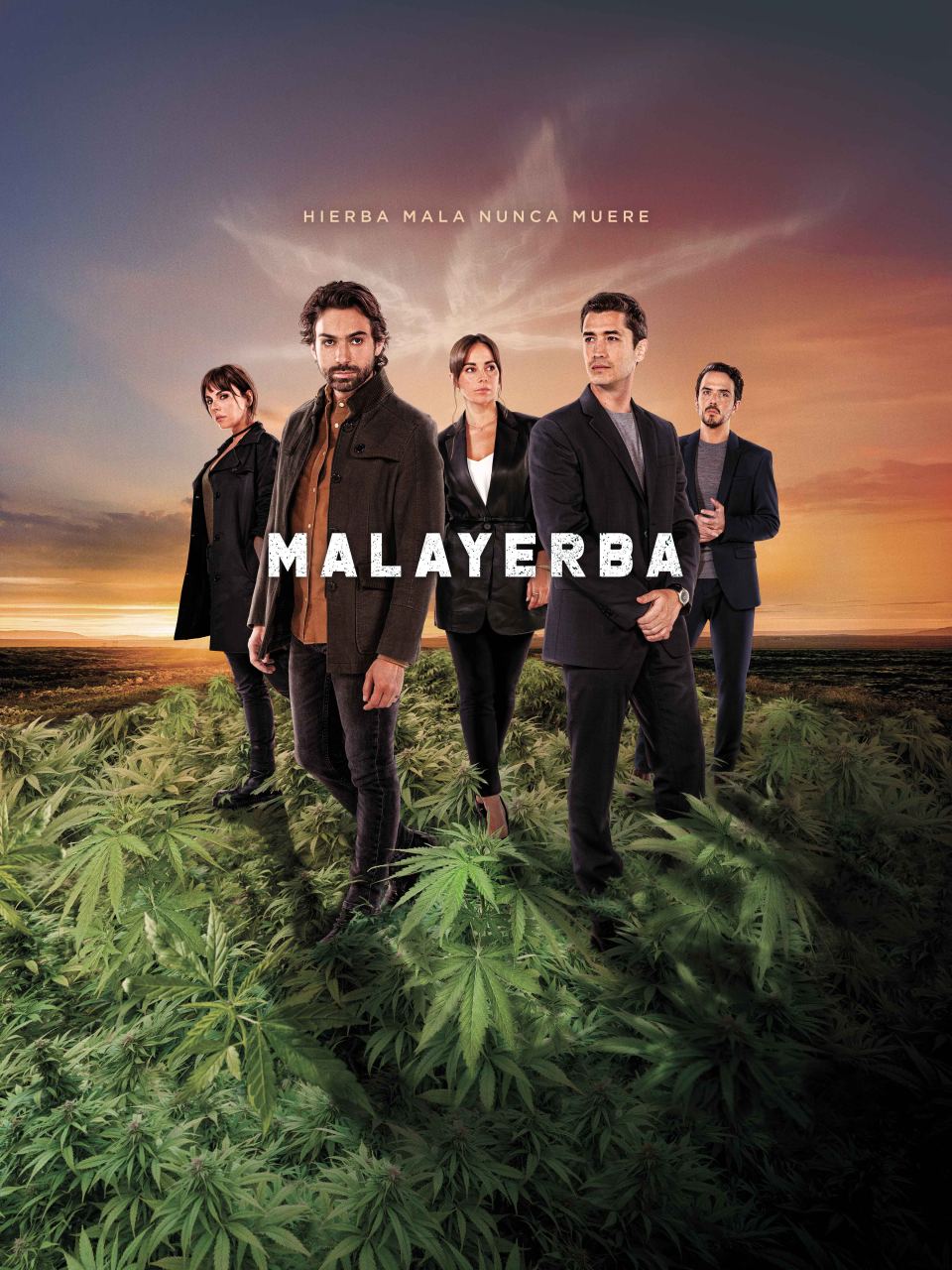 malayerba