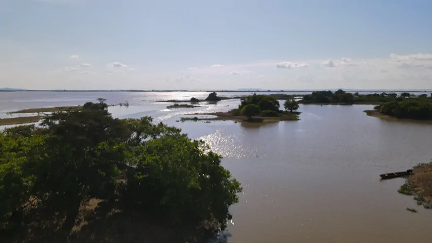 Ciénaga de Zapatosa (Sector Alfaro)