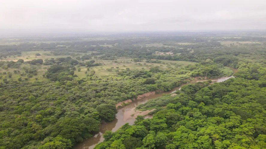 Río Cesar (Las Pitillas)