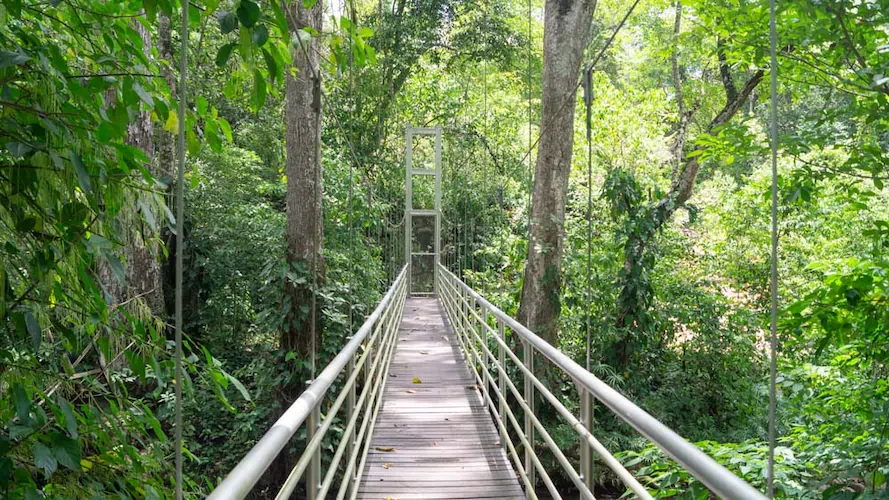 Reserva Natural Los Tananeos