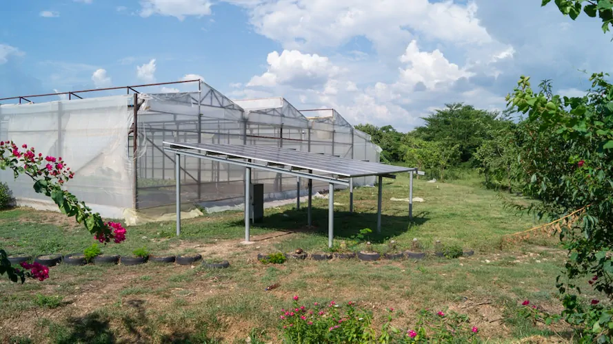 Vivero Departamental del Cesar