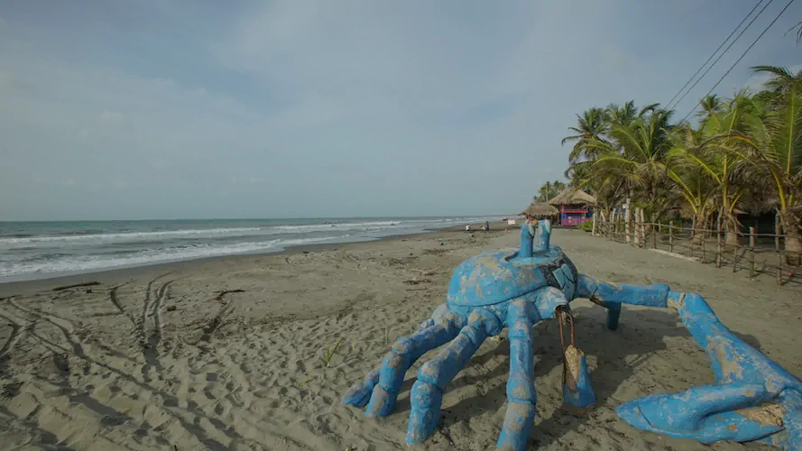 PLAYAS SAN BERNARDO