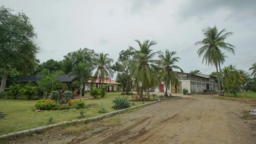FINCA ROMERO