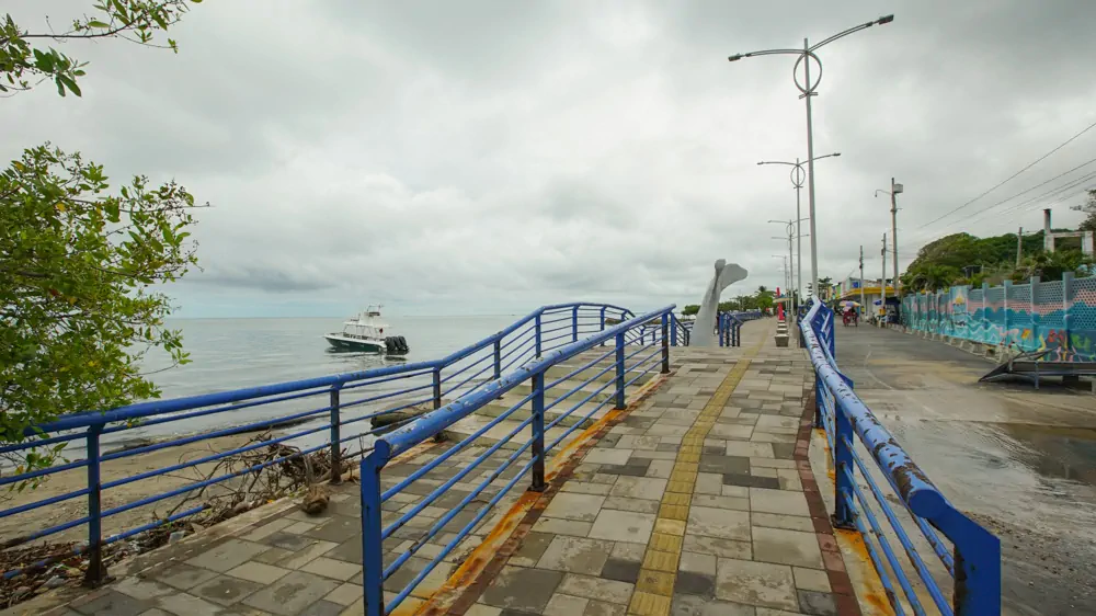 Malecon Tolu