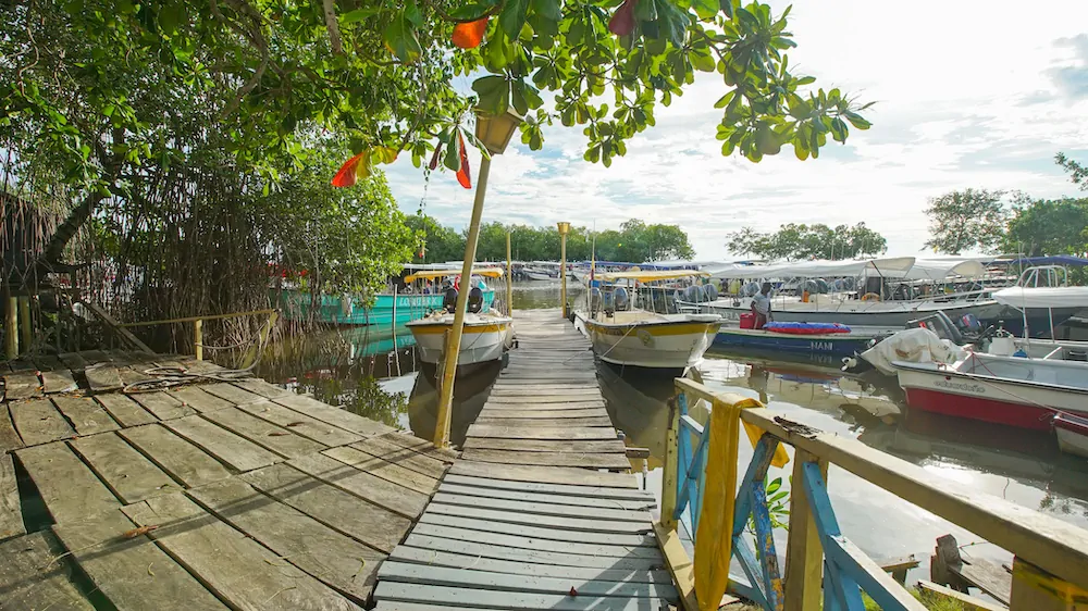 Muelle Turistico Tolu