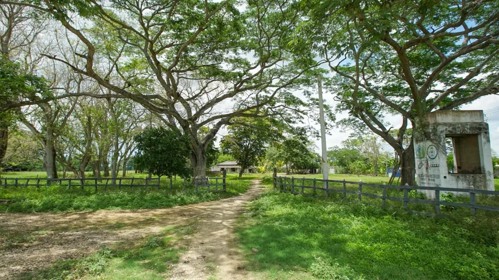 Finca La Mayoria