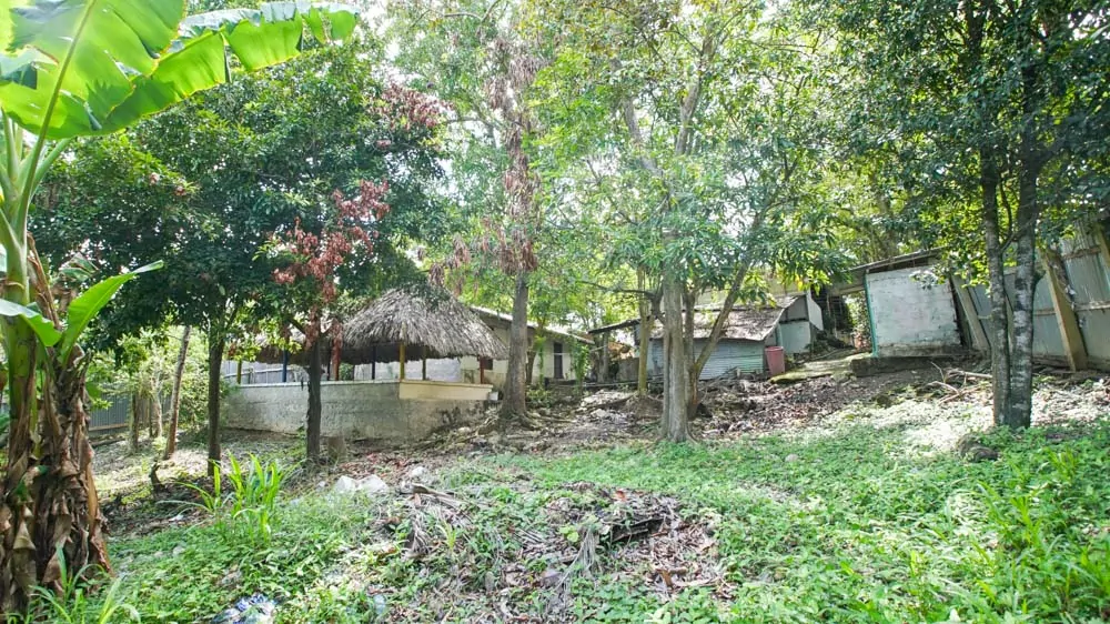 Casa de la Cultura Coloso