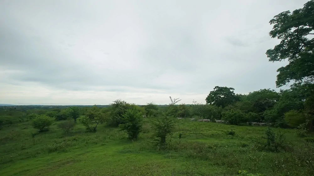 Hacienda Belgica