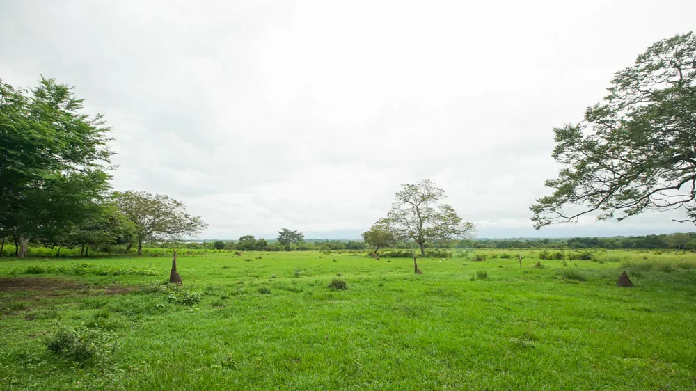 Hacienda La Isla